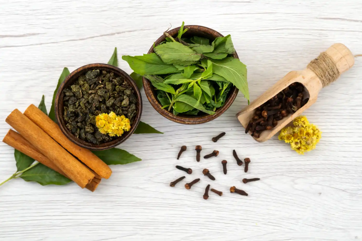 Ayurveda Therapy Process